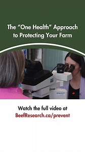 Learn more about biosecurity on beef cattle operations at: https://www.beefresearch.ca/topics/biosecurity/ | Beef Cattle Research Council