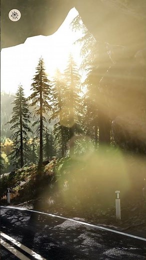 Mooji - Don't Give Up, I Am With You All The Way - Message To You 💕