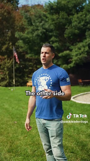 Understanding Dog Pack Positions: Front, Middle, and Back