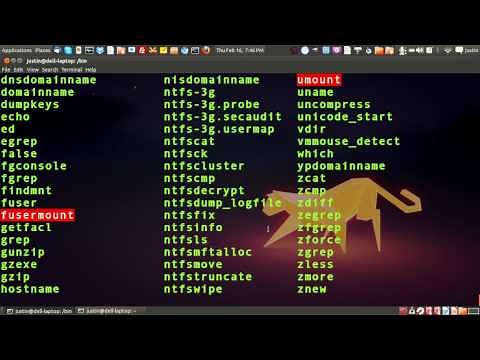the bin directory in linux - "/bin/" - the linux file system