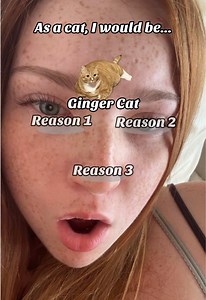 Ginger Cat Filter: Are 1 in 10 Gingers Actually Cats?