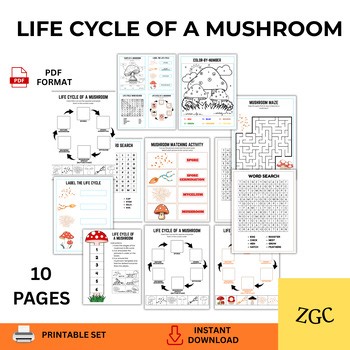 Life Cycle of a Mushroom Printable | Mushroom Life Cycle Worksheets | Fungi