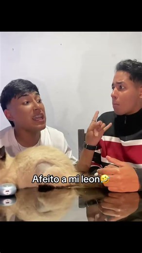 Como quedo?🤣#risa #turorial #video #sonido#shots #shorts