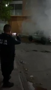 12K views · 14 reactions | Felix Fox on Reels | Facebook