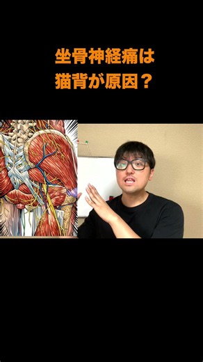 坐骨神経痛の原因は腰じゃなくて○○ #ヘルニア#坐骨神経痛 #整体