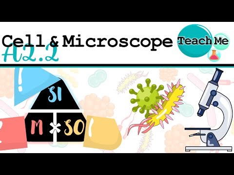 (A2.2) - Cells & Microscope [Cell Structure] - IB Biology (SL/HL)