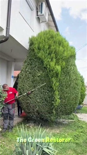 Pressure Washing | Mowing | Trimming | Raking | Cutting #shorts #satisfying #gardening