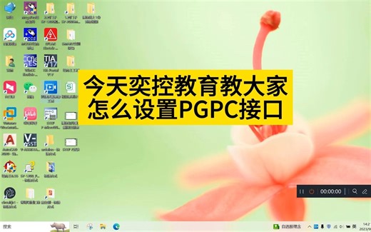 设置PCPG接口