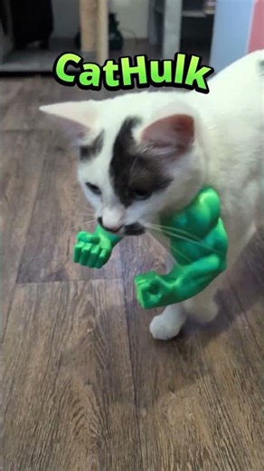 Hulk Mode Activated: Mustached Cat Goes Full Smash