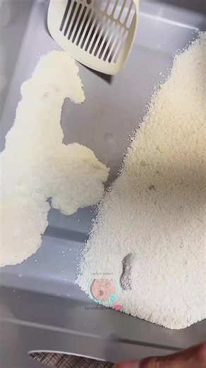 Cutepol 100% Cassava Cat Litter: Fast Clumping & Dust-Free