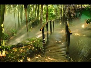 26K views · 625 reactions | La Meditación de la Conciencia Pura es una técnica mental simple y a la vez muy efectiva, que nos permite acceder a niveles más profundos y sutiles de nuestra conciencia, y nos ayuda a conectarnos con nuestro Ser Esencial. Con ella podrán: -Reducir estrés. -Desarrollar el potencial mental y el equilibrio físico. -Desarrollar estados superiores de la conciencia. | Soul House | Facebook