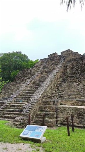 Maya pyramids surrounded by lush jungle near Chetumal - Mexican Caribbean