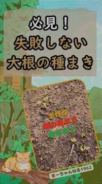 [Home Gardening] Easy Ground Planting! How to Sow Daikon Radish Seeds Without Fail - Up to Germin...