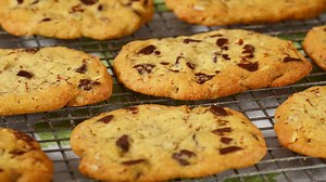 Chocolate Chip Refrigerator Cookies - Joyofbaking.com