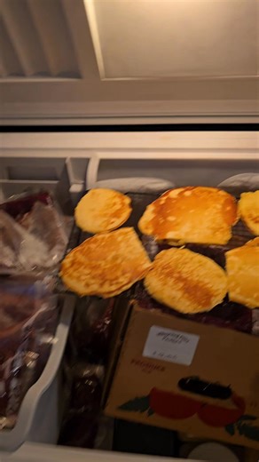 2.2K views · 21 reactions | Flash freezing is so easy you should be doing it. If you want to Make food ahead of time to make your week easier this is essential. Basically you are freezing it most of the way before putting into bags so things dont stick together. You can just grab what you want to sue rather than having to dethaw all of it. #YHWH #Yeshua #homestead #homeschool #sustainability #pancakes #foodprep #mealprep #family | Brawner Homestead | Facebook