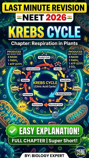 Krebs Cycle Trick + Diagram 🧠 | NEET Biology | vEgyan Ghar