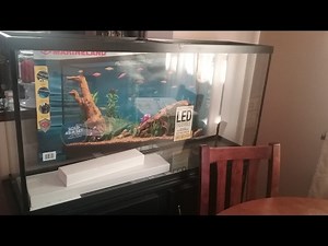60 gallon tank Setup