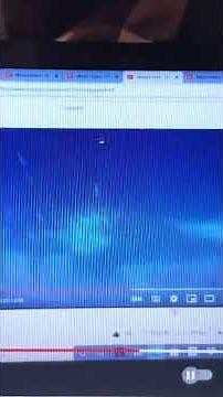 Disney Pixar’s Fliks Musical Adventure At Disneys Animal Kingdom Its A Bugs World After All