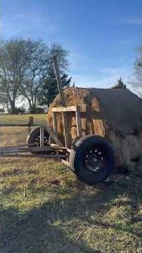 The cows are always hungry #cow #ranching #smallranch #farming #beef #texas #cattlefarming #blessed