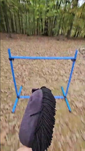 cource on angry pony #hobbyhorse