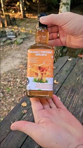🍄 Nalewka z kurek (Pieprznika jadalnego) #kurki #nalewka #healthyfood #cooking #amr #pyszne #food
