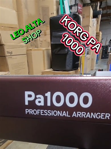 KORG PA1000: Teclado Programable para Ritmos Únicos