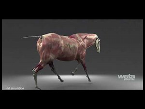 VFX Technology | Tissue System | Weta Digital