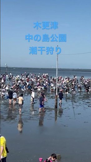 木更津中の島公園潮干狩り２