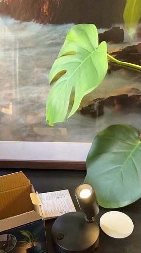 Indoor LED Plant Spotlight from Action – Cozy Light for Indoor Plants