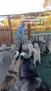 42K views · 1.2K reactions | What a lovely morning, frosty night and...