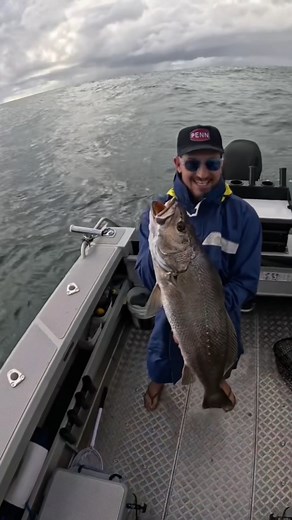 Blake and the boys had one of those sessions where the rods barely had time to breathe 😮‍💨 Silver slabs climbing on, arms burning, and the Fathom II doing exactly what it was built for 🥊 #PENNFishingANZ #LetTheBattleBegin | PENN Fishing