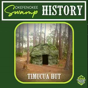 23 reactions | The Timucua (tee-moo-kwa) were indigenous people of...