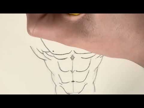 How to draw abs (Another YouTuber helped me with the outlines not trying to steal or anything)￼￼