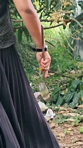 St. Aloysius College, Thrissur on Instagram: ". . #nss #instagood #collegelife #reel #students"