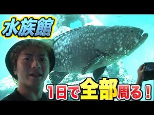 [Verification] Is it possible to visit all the aquariums in Tokyo in one day?