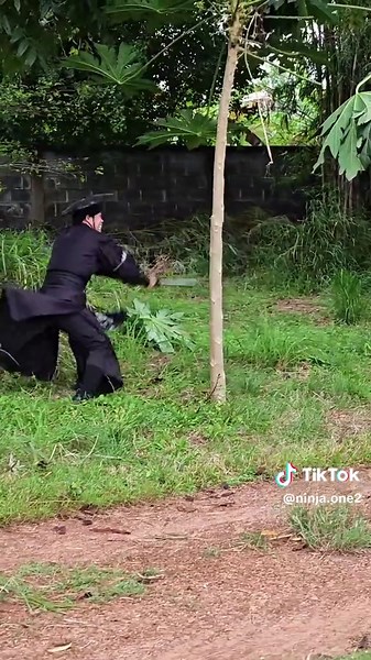 จอมยุทธ: หนึ่งดาบพิชิตภารกิจหมู