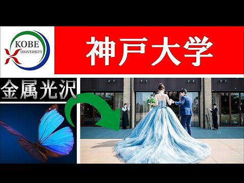 【神戸大学】金属光沢のインク開発！構造色の原理を応用させる研究を解説！