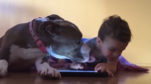 The real-life support class tier list you didn’t know you needed