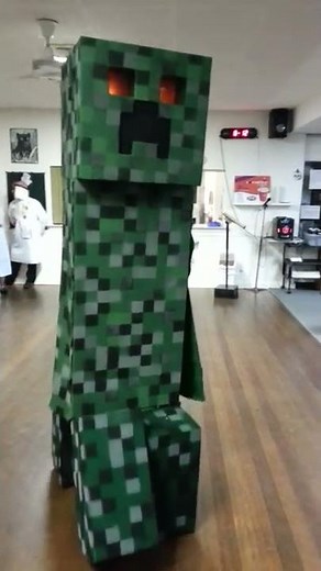 Minecraft Creeper Costume