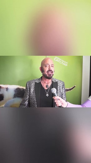 27K views · 427 reactions | Cat Campers in SD it's your LAST CALL for...