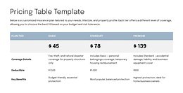 Pricing table for proposal page - Website Template by Nicepage