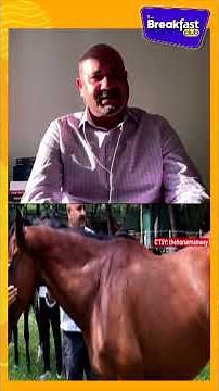 What if your greatest leadership lessons came from a horse? | Leadership via Horsemanship | N18S