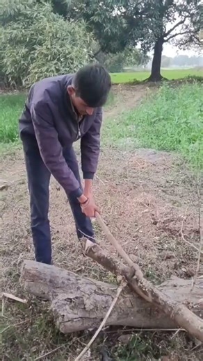 wait for end #funny #comedynew #comedyshorts #newfunny #trendingshorts #shortvideo