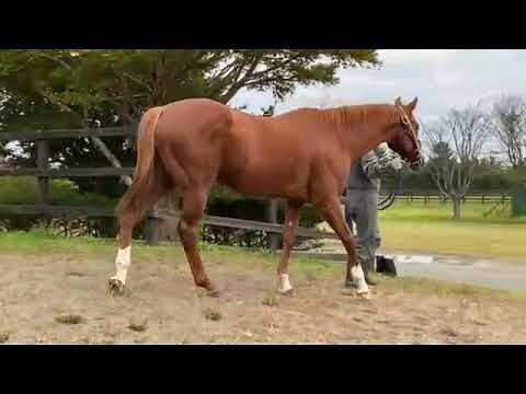 終の棲家へ到着したディープスカイ