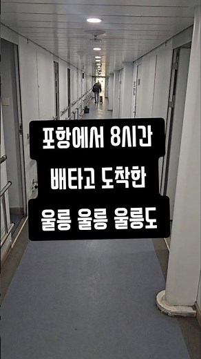 울릉도크루즈 포항 울릉도맛여행 왕복 이용후기🛳포항~울릉도승선 1/22(목) 22:20~출발 1/22(목) 23:00도착 1/23(금) 08:10🚢울릉도~포항승선