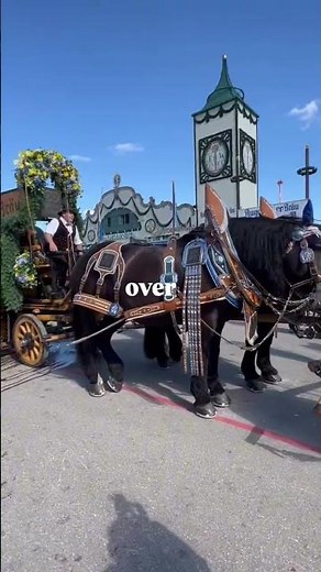 Oktoberfest 2025 Guide: What You Need to Know 🇩🇪🍻