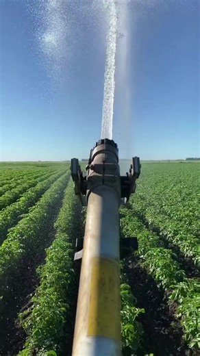 MY MAIN ACCOUNT IS @Aussie_lady_rider 🏍 ♓️ & @aussie_lady_rider #aussie_lady_rider