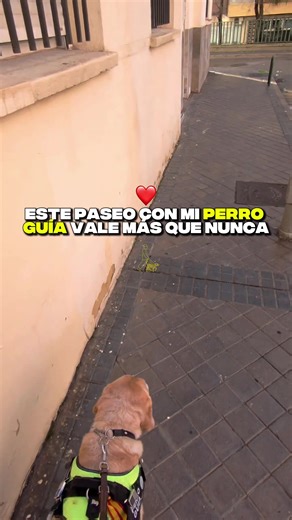 Salir a pasear con mi perro guía puede parecer algo normal… hasta que estás a punto de perderlo y todo cambia. Hace solo unos días, ni siquiera sabíamos si volveríamos a vivir algo tan simple como esto. Caminar juntos, tranquilos, sin miedo, sin ese peso constante en la cabeza. Y de repente, ahí estamos otra vez, haciendo lo de siempre… pero sintiéndolo como nunca. Hoy no hay prisas, no hay tensión. Solo ese momento tan sencillo de acompañarle, de verle disfrutar, de volver a confiar en cada pas