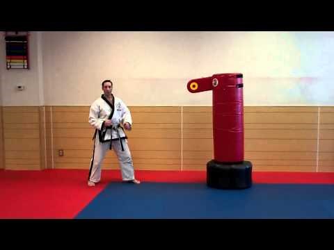 Warren Levi Karate- Spinning Roundhouse Kick (instructional)