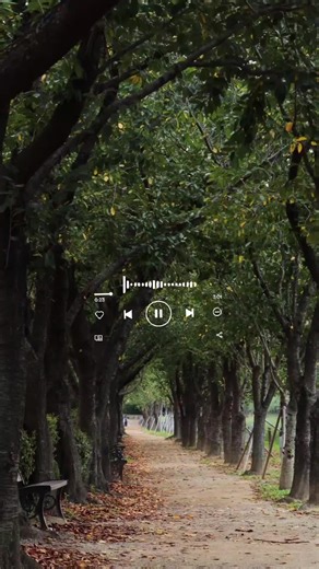 #Quevoyhacerconmiamor#musica#alejandrofernadez#love #fyp | alejandro fernandez